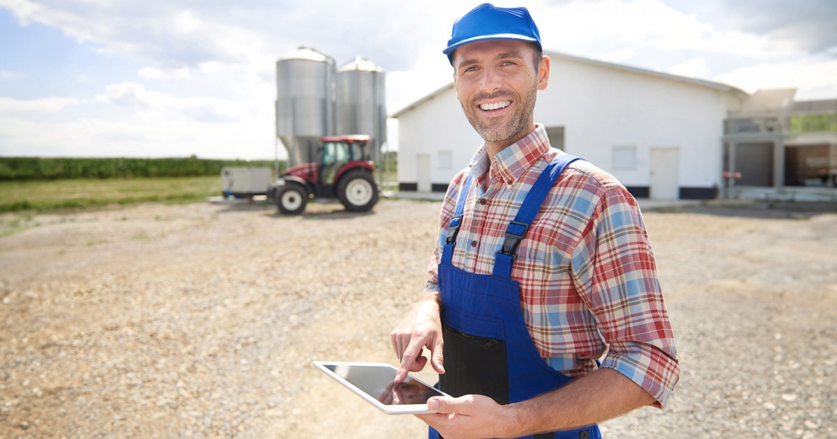 atividades da logística para o agronegócio